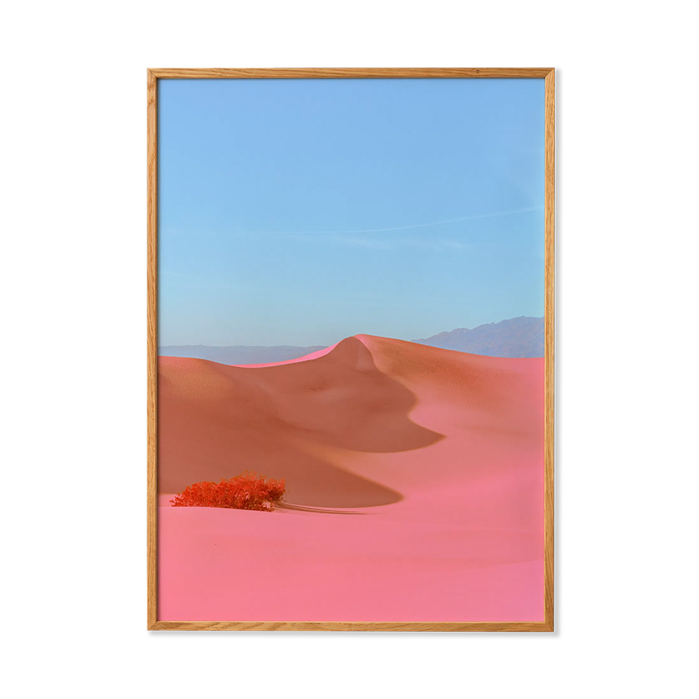 Dunes II 70×100cm / Paper Collective（ペーパーコレクティブ） / フォトフレーム・ポスター・ポスターフレーム / PPC10218PNK_ma.jpg