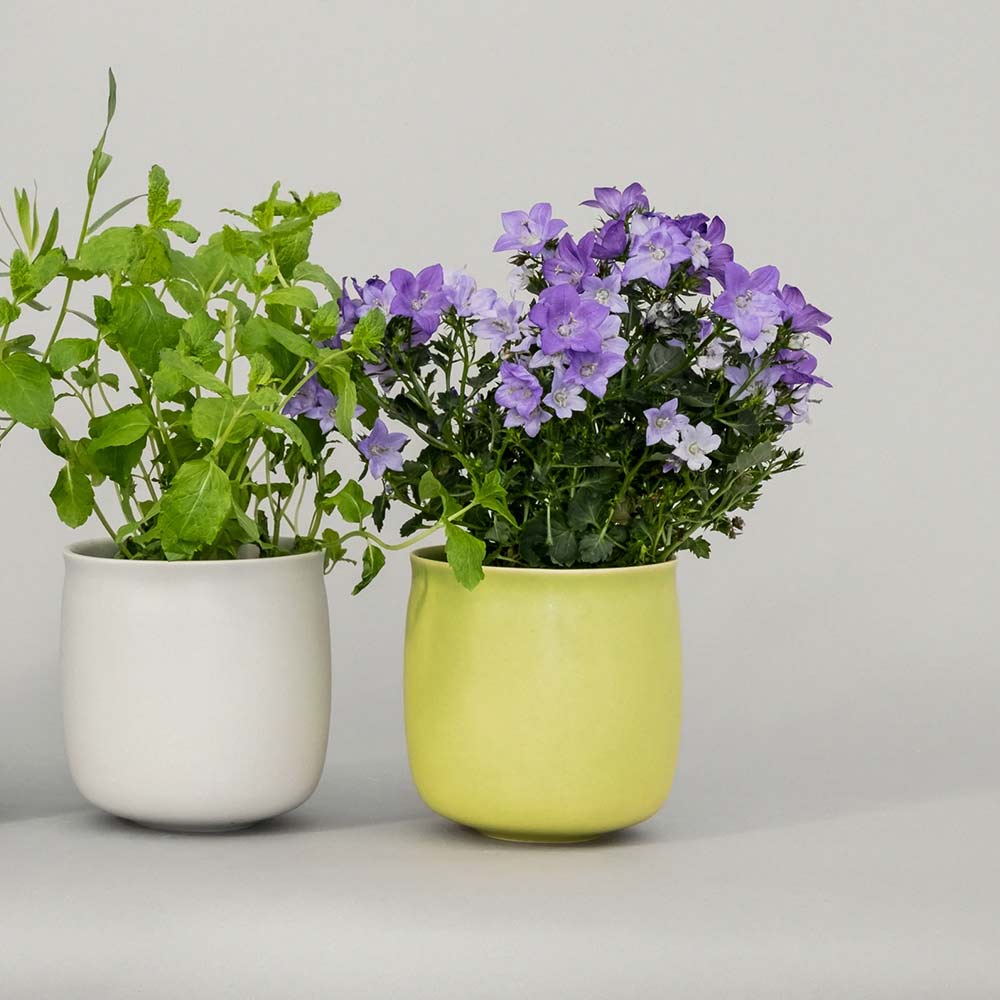 raawii Alev Vase 01 / raawii（ラーウィー） / 花器・フラワーベース・花瓶 / RAW10021_dt_01.jpg