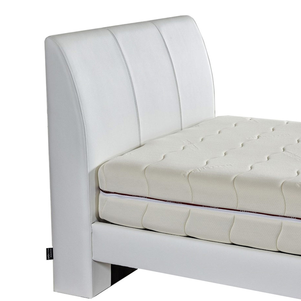 RUF BETTEN MULTI COMFORT SYSTEM 209 ステーションタイプ スチール脚ロータイプ SD(セミダブル) / RUF BETTEN（ルフ ベッテン） / セミダブルベッドフレーム / RUF10014_dt_01.jpg