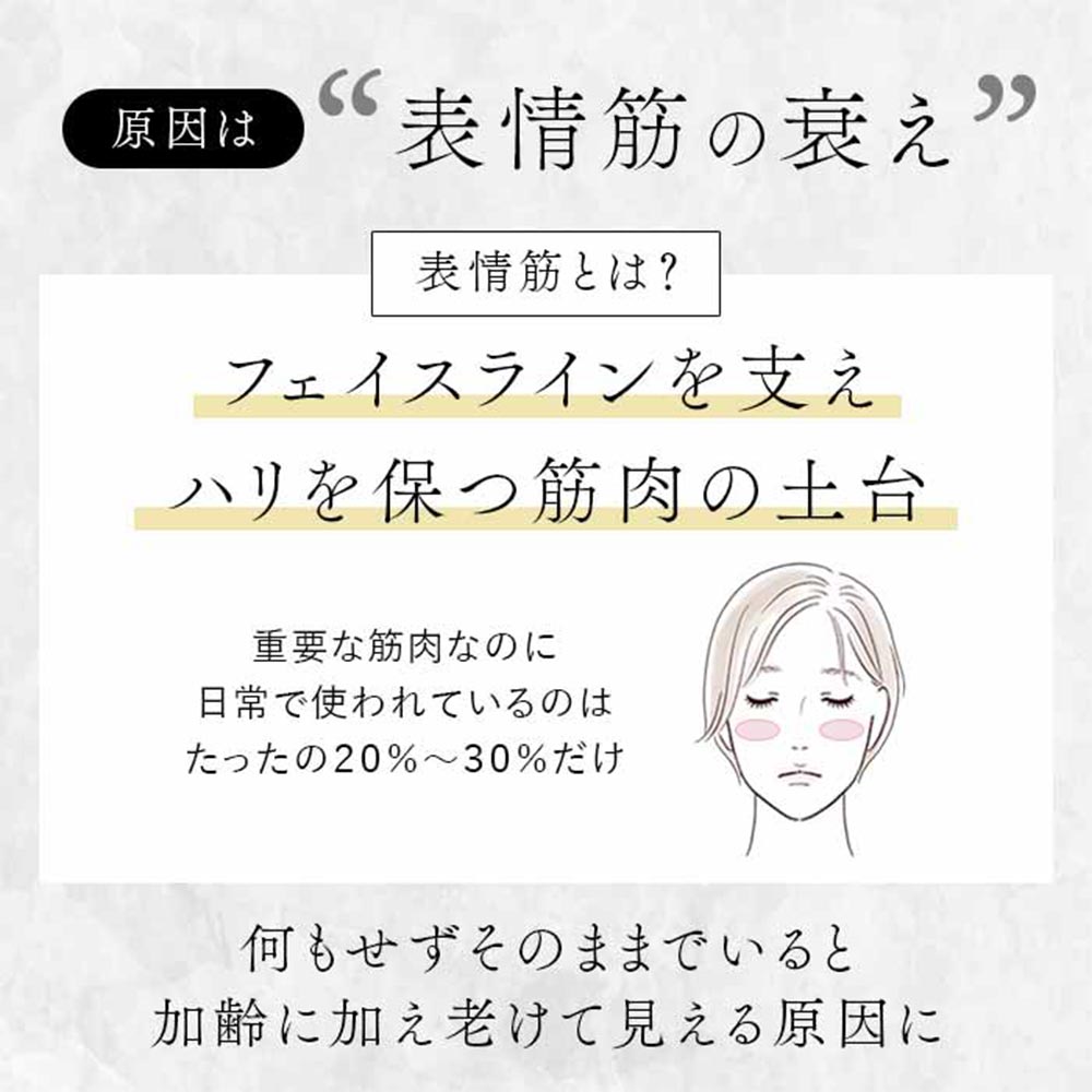 STELLA BEAUTE Beauty Face Stick2.0 SB-BFS02 / STELLA BEAUTE（ステラ ボーテ） / 美顔器・美顔ローラー / STB10002_dt_02.jpg