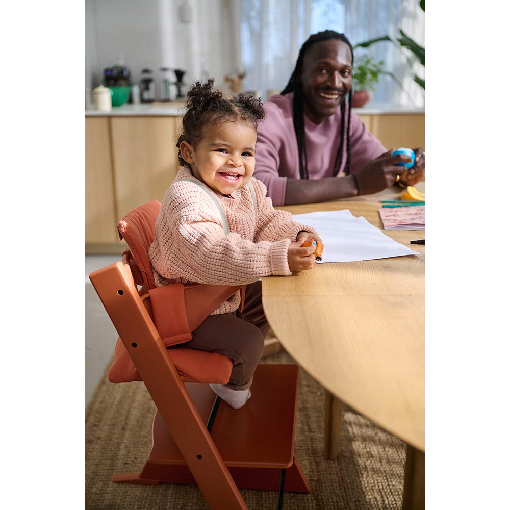 トリップトラップ専用 ベビーセット2 STOKKE / STOKKE（ストッケ） / その他キッズ家具 / STK10013_dt_12.jpg