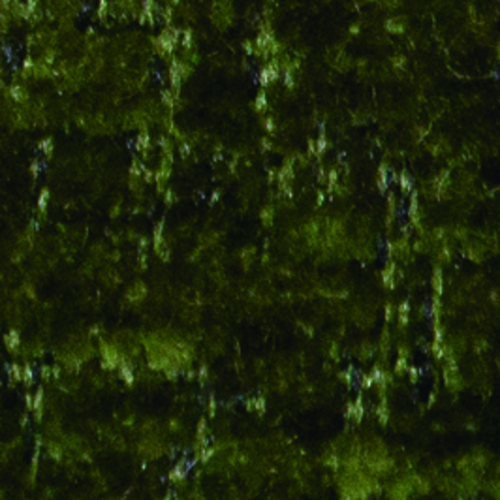 BRANCH SOFA ブランチ 2Pソファ F3ファブリック TEORI / TEORI（テオリ） / 2人掛けソファ / col_TEO10005GRN.jpg