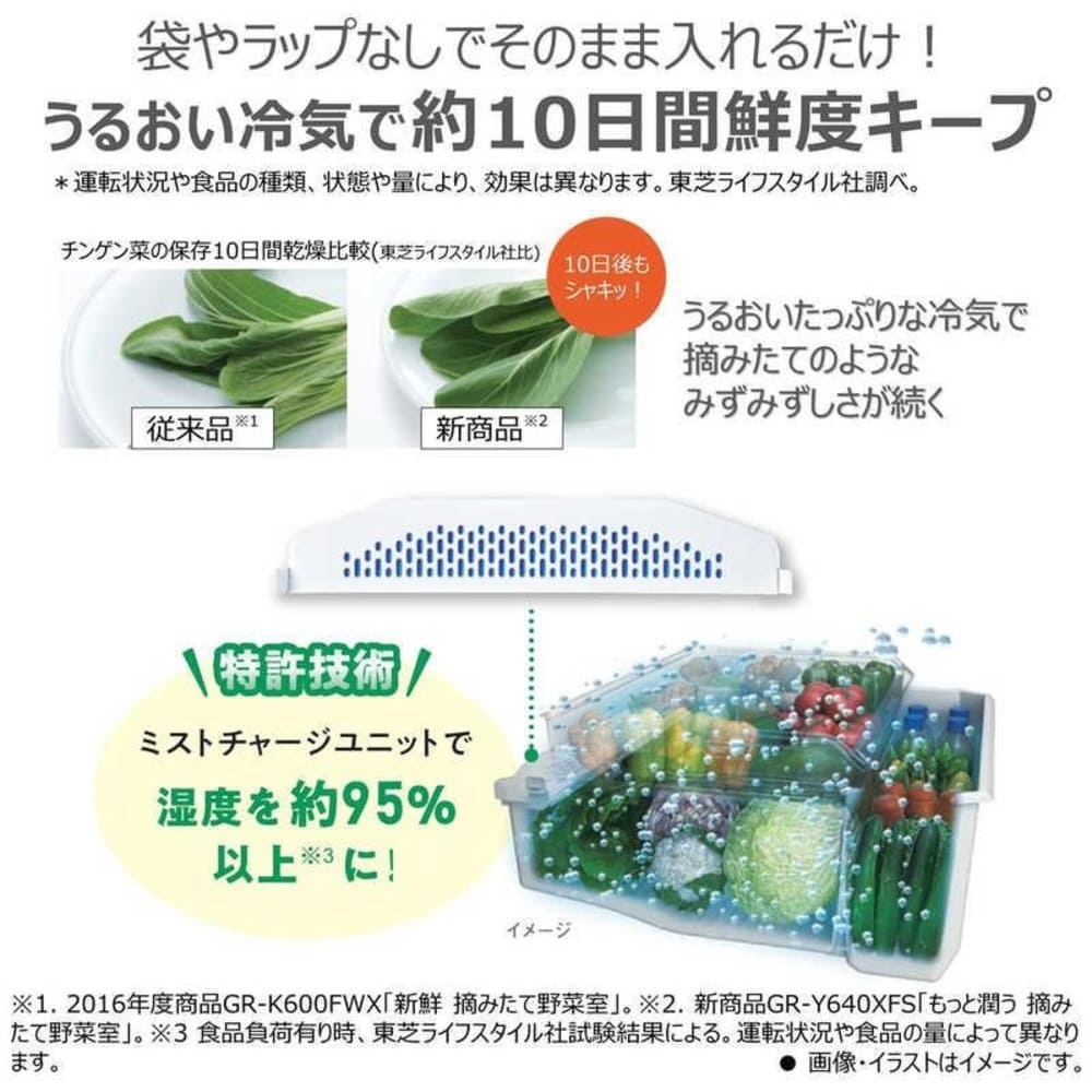 TOSHIBA VEGETA 465L 5ドア冷凍冷蔵庫 GR-Y470GSH (右開き) / TOSHIBA（トウシバ） / 冷蔵庫・冷凍庫 / TSB10184_dt_04.jpg