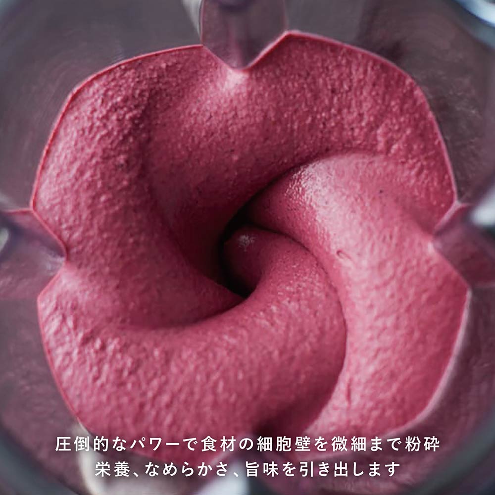 Vitamix Vitamix Venturist V1200i / バイタミックス Vitamix Vitamix Venturist V1200i / バイタミックス