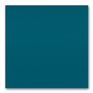 Standard black walnut / Vitra(ヴィトラ) / ダイニングチェア / col_VTR10107BLU.jpg