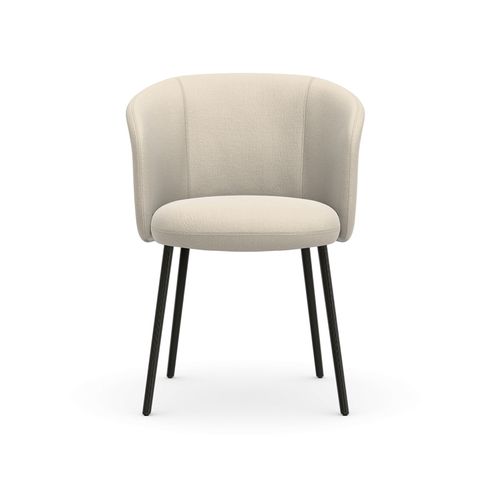 Mikado Armchair powder-coated basic dark / Vitra（ヴィトラ） / ダイニングチェア / VTR10204_dt_01.jpg