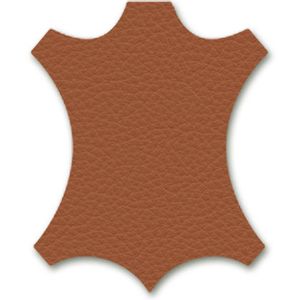 AC 5 Studio armless 5 Star base / Vitra(ヴィトラ) / オフィスチェア・ワークチェア / col_VTR10215MBR.jpg
