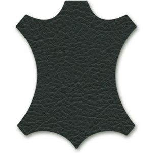 AC 5 Studio 5 Star base armrest / Vitra(ヴィトラ) / オフィスチェア・ワークチェア / col_VTR10217GRN.jpg