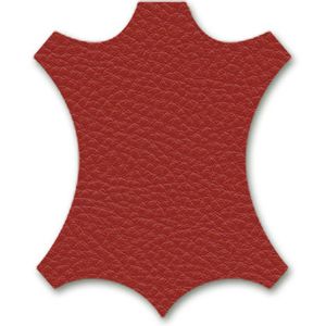 AC 5 Studio 5 Star base armrest / Vitra(ヴィトラ) / オフィスチェア・ワークチェア / col_VTR10217ORN.jpg