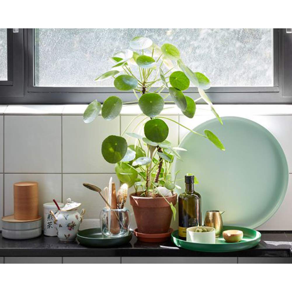 Trays / Vitra（ヴィトラ） / その他インテリア雑貨 / VTR10275_dt_06.jpg