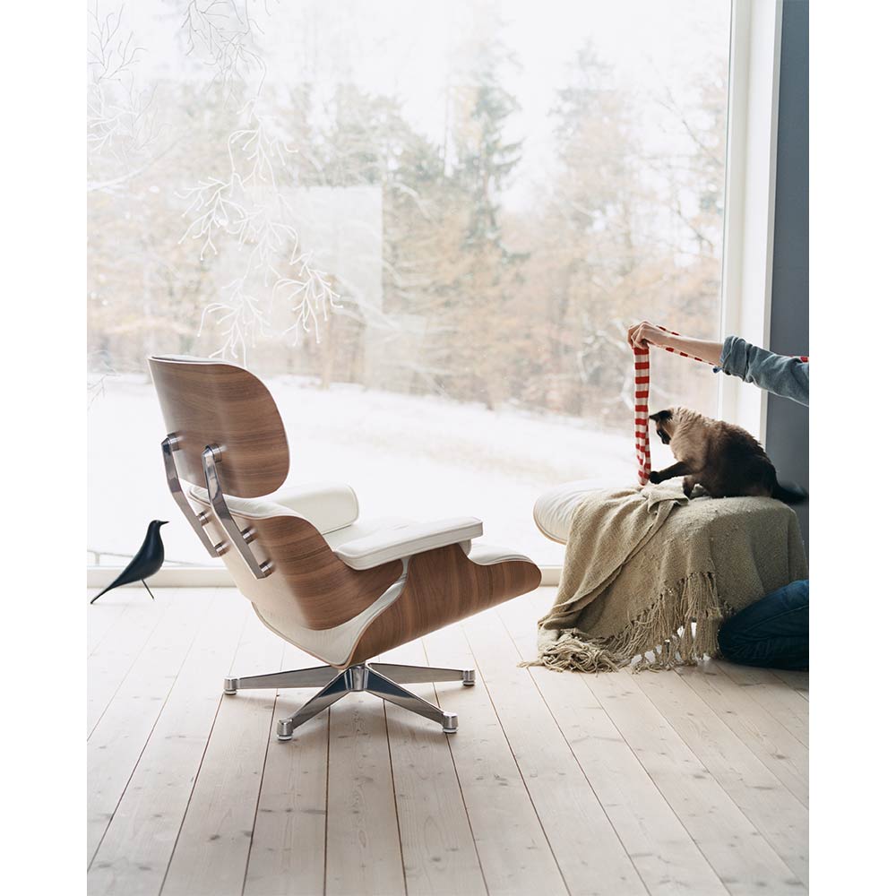 Eames House Bird / Vitra（ヴィトラ） / オブジェ・アート / VTR10279_dt_08.jpg