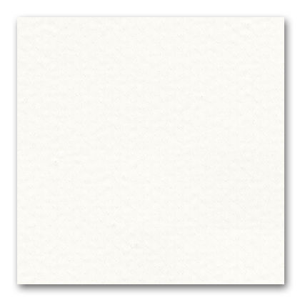 LOiseau Ceramic / Vitra(ヴィトラ) / オブジェ・アート / col_VTR10280WHT.jpg