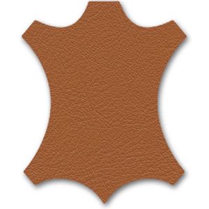 Cite japanese red / Vitra(ヴィトラ) / ラウンジチェア / col_VTR10289ORN.jpg