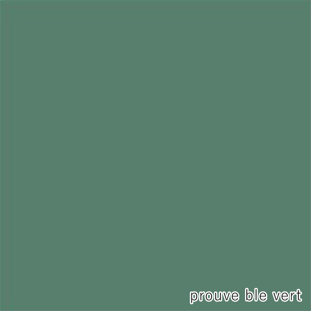Cite prouve ble vert / Vitra（ヴィトラ） / ラウンジチェア / VTR10294_dt_08.jpg