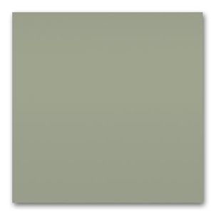 Standard_04 dark oak / Vitra(ヴィトラ) / ダイニングチェア / col_VTR90106BEG.jpg