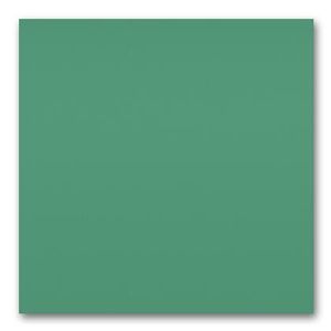 Standard_04 dark oak / Vitra(ヴィトラ) / ダイニングチェア / col_VTR90106GRN.jpg