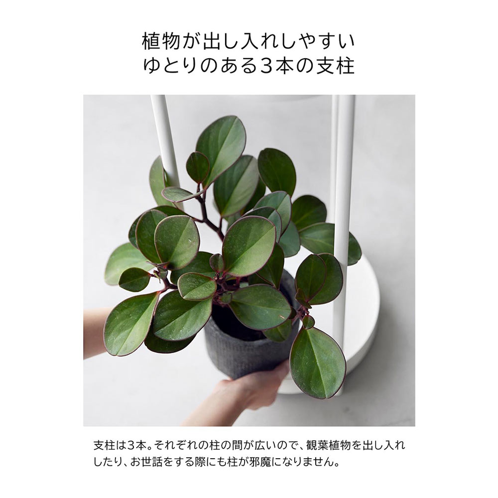 tower キャスター付きプランタースタンド 2段 / Yamazaki（ヤマザキ） / グリーン・観葉植物・プランター / YMZ10058_dt_13.jpg
