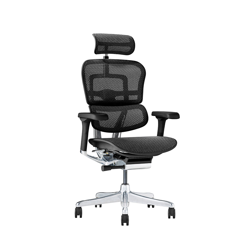 Ergohuman wincase hotsell