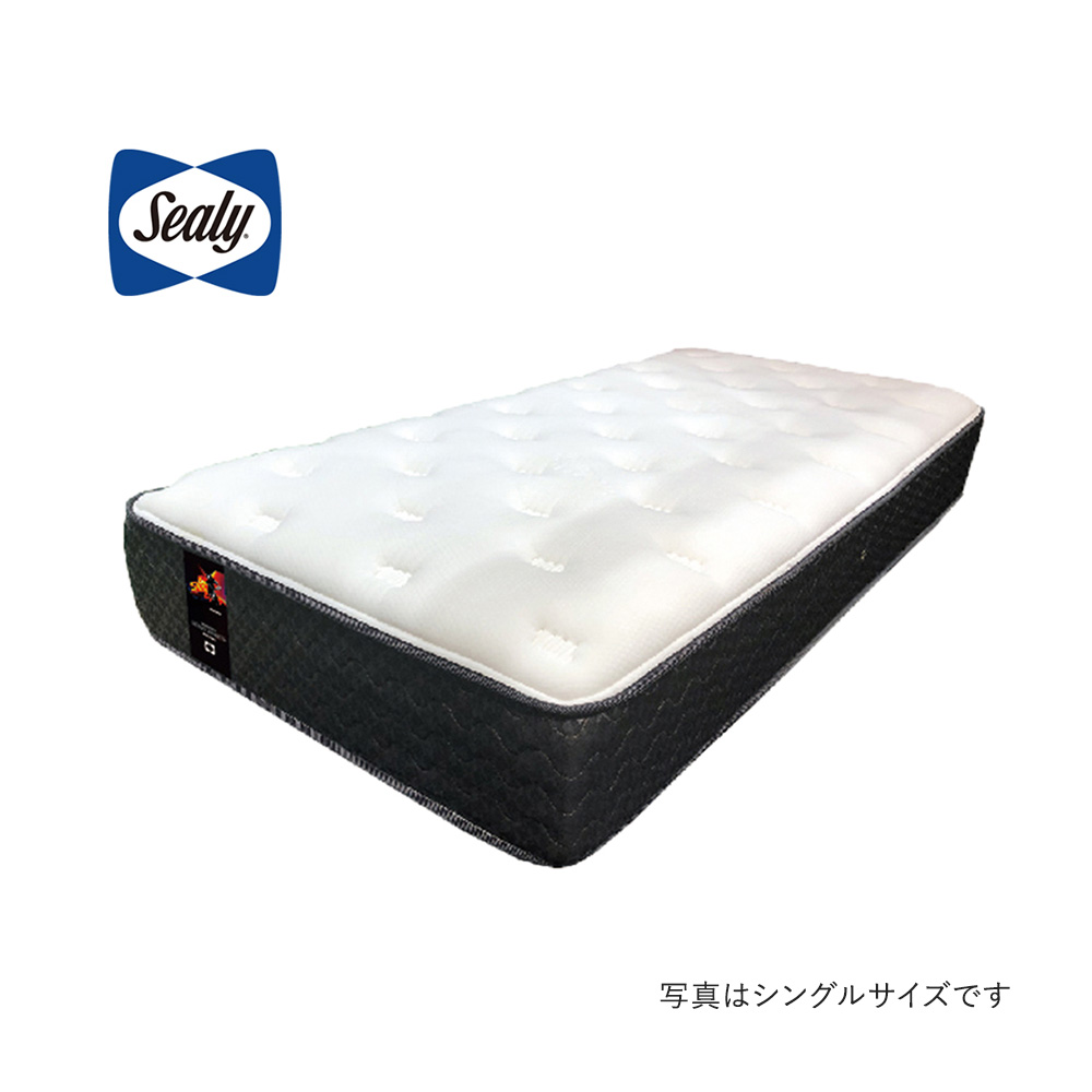 Sealy SPORTS パワーマッスル ダブル / シーリー | subsclife Sealy SPORTS パワーマッスル ダブル / シーリー | subsclife