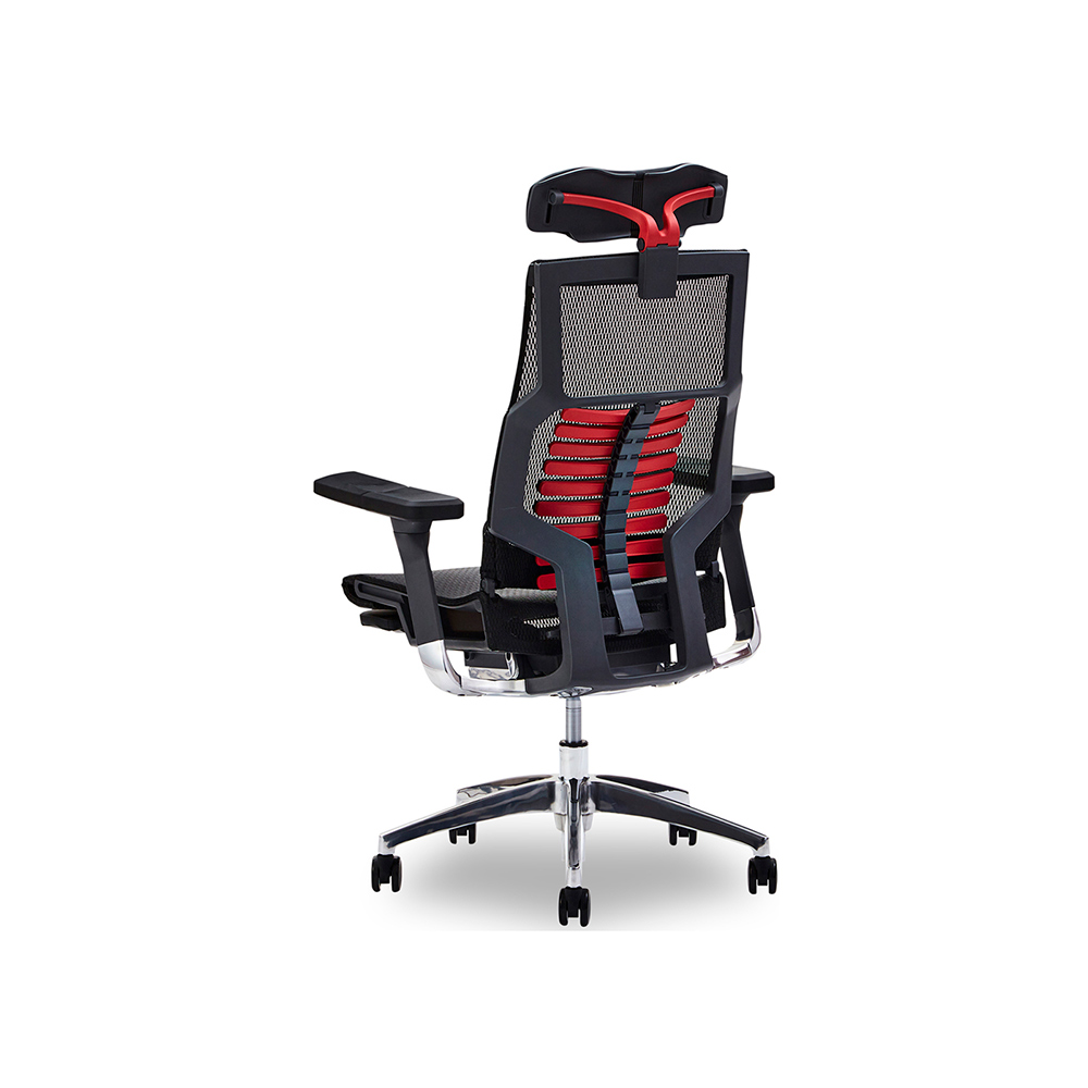 Ergohuman wincase hotsell
