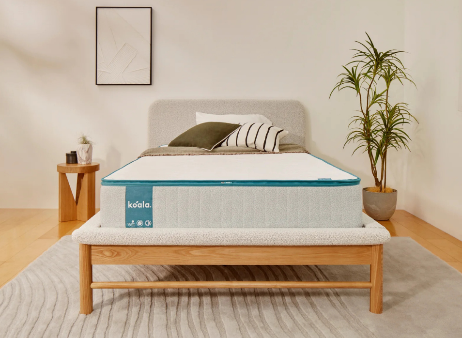 【NEW BRAND 】Koala